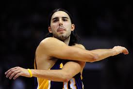 Anadolu Efes, preso Sasha Vujacic